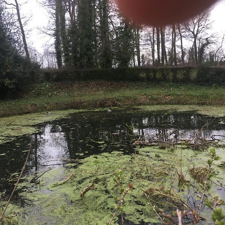 Saint-Arnoult Le Colombier De Royaumont别墅 外观 照片
